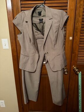 Ann Taylor Taupe Pinstripe Short-Sleeve Blazer and Pants